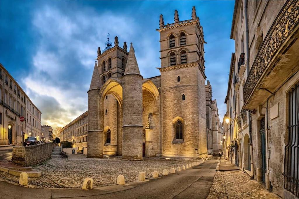 Studio Au Coeur Historique De Montpellier, 2 Personnes Et Wifi Exteriör bild